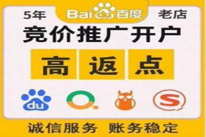 竞价推广实战：案例分析行业领军企业的成功之道